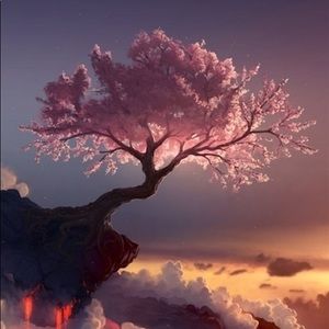 Meet your Posher, Sandy